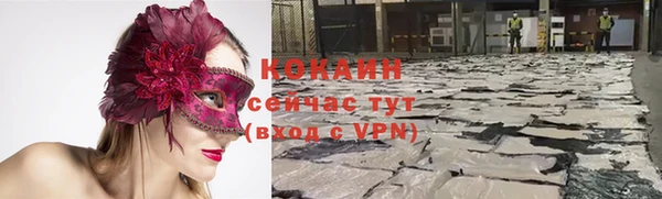 скорость Сосновка