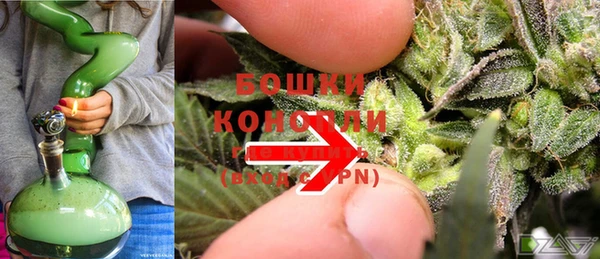 гидра Сосновоборск