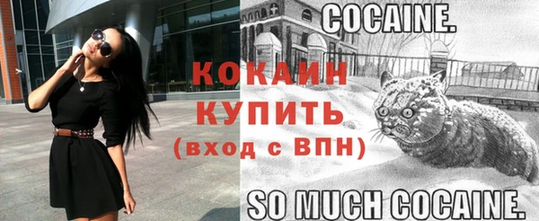 скорость Сосновка