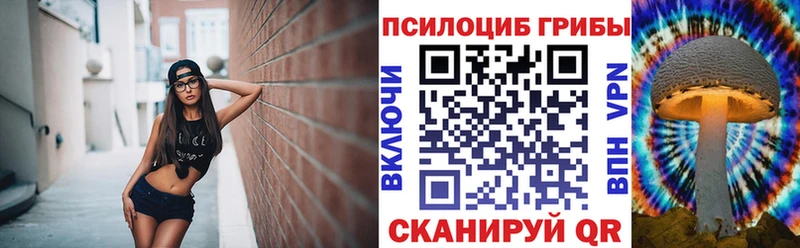 наркота  Ярославль  darknet телеграм  Псилоцибиновые грибы Psilocybe 