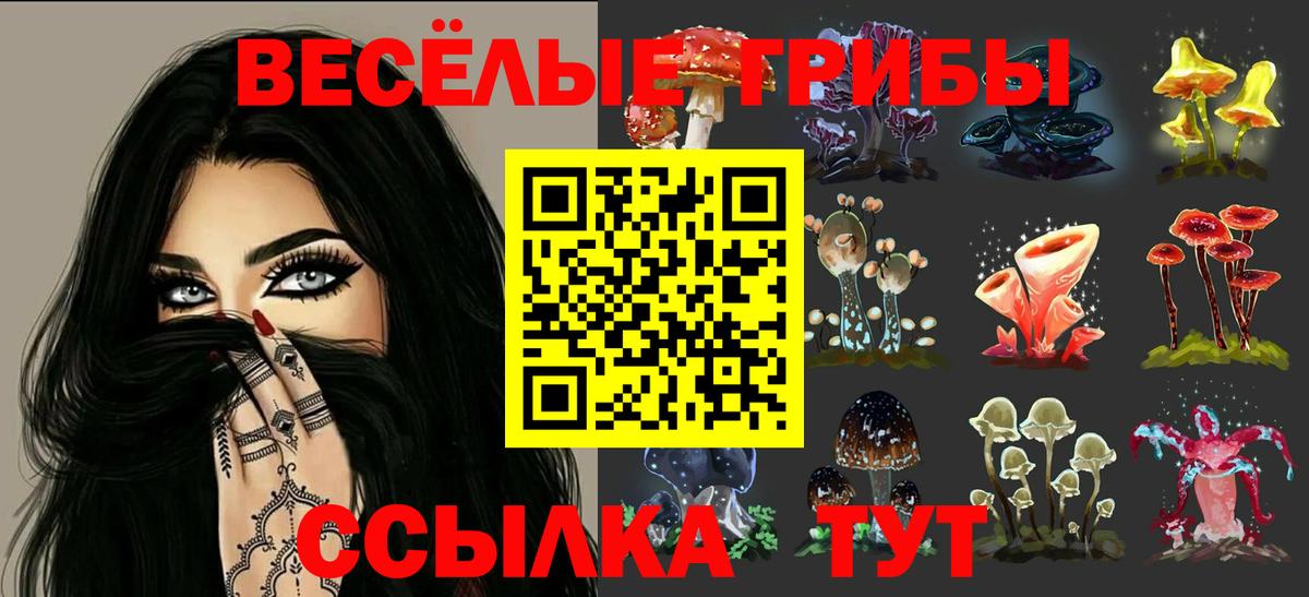 Ярославль  Галлюциногенные грибы прущие грибы  Вход с VPN 