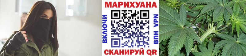 Конопля план Ярославль